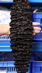 Burmese Curly